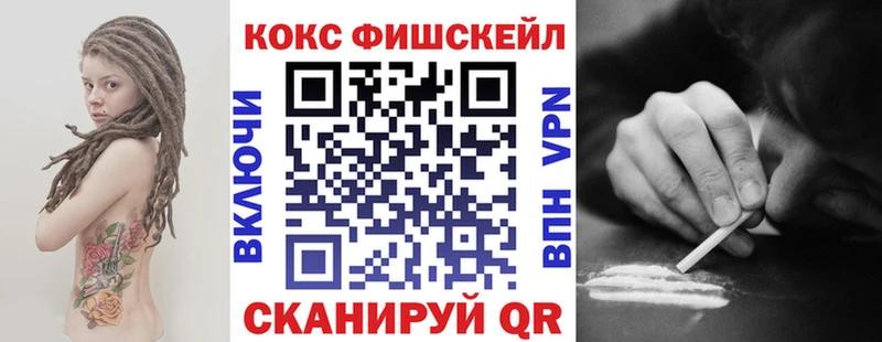 COCAIN Fish Scale  как найти закладки  Дмитров 