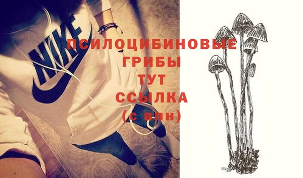 не бодяженный Нижний Тагил