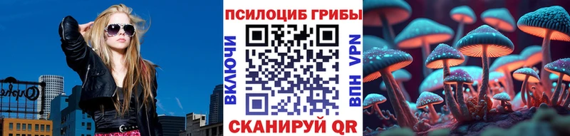 Псилоцибиновые грибы MAGIC MUSHROOMS Дмитров