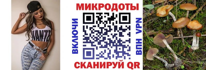 kraken маркетплейс  где купить наркоту  Дмитров  Галлюциногенные грибы Magic Shrooms 