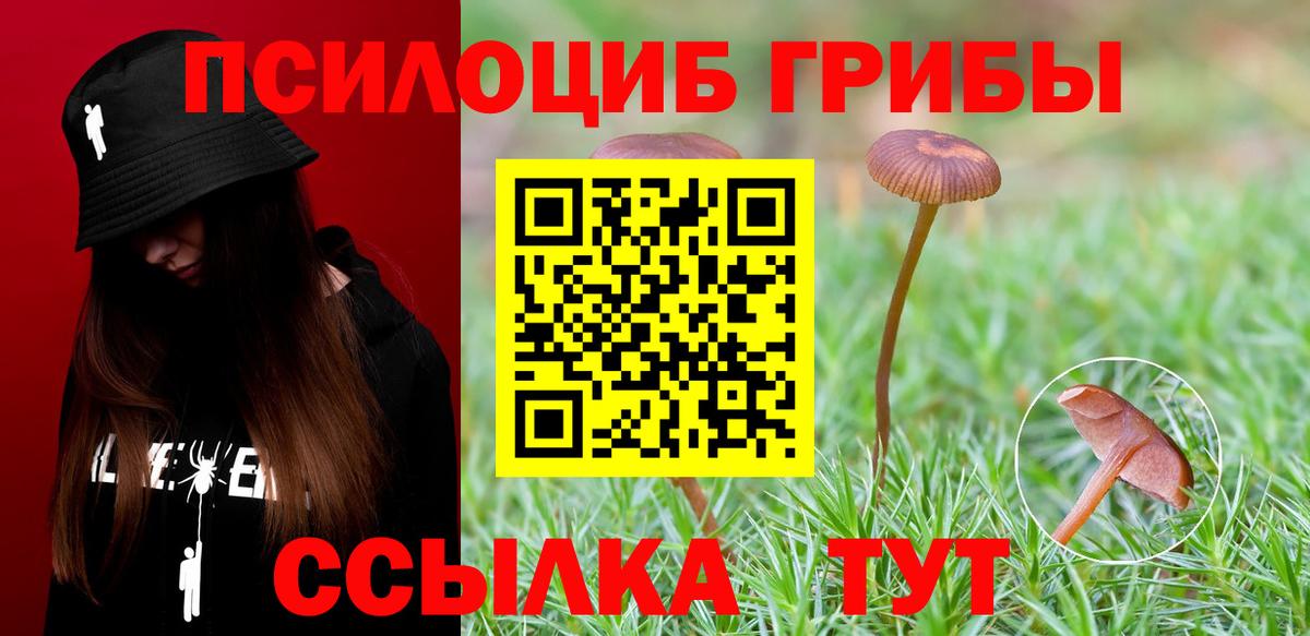Псилоцибиновые грибы MAGIC MUSHROOMS  Вход с VPN  Дмитров 