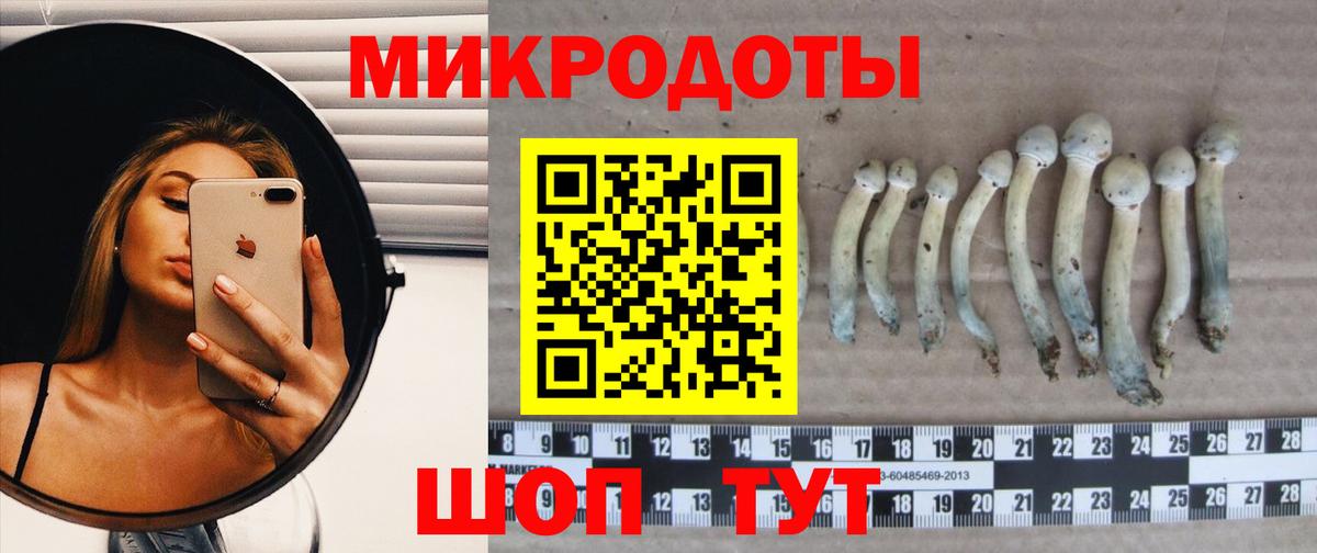 Псилоцибиновые грибы GOLDEN TEACHER  цены   Дмитров  Галлюциногенные грибы прущие грибы 